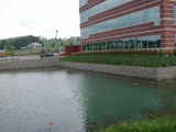 Comm_Wall_with_pond.jpg